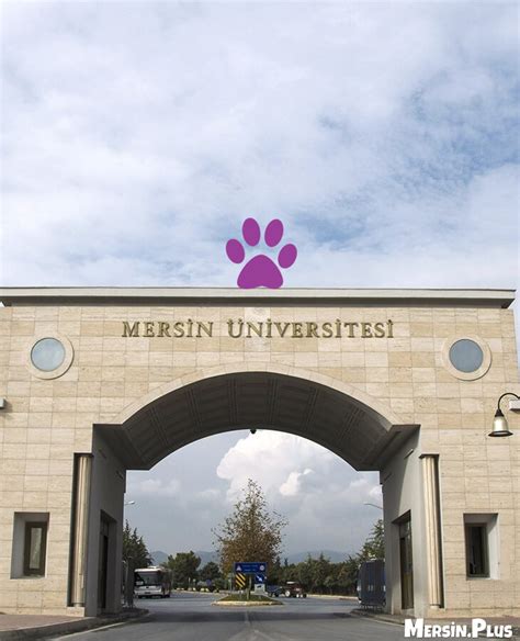 Mersin üniversitesi hayvan barınağı